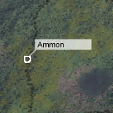 Ammon